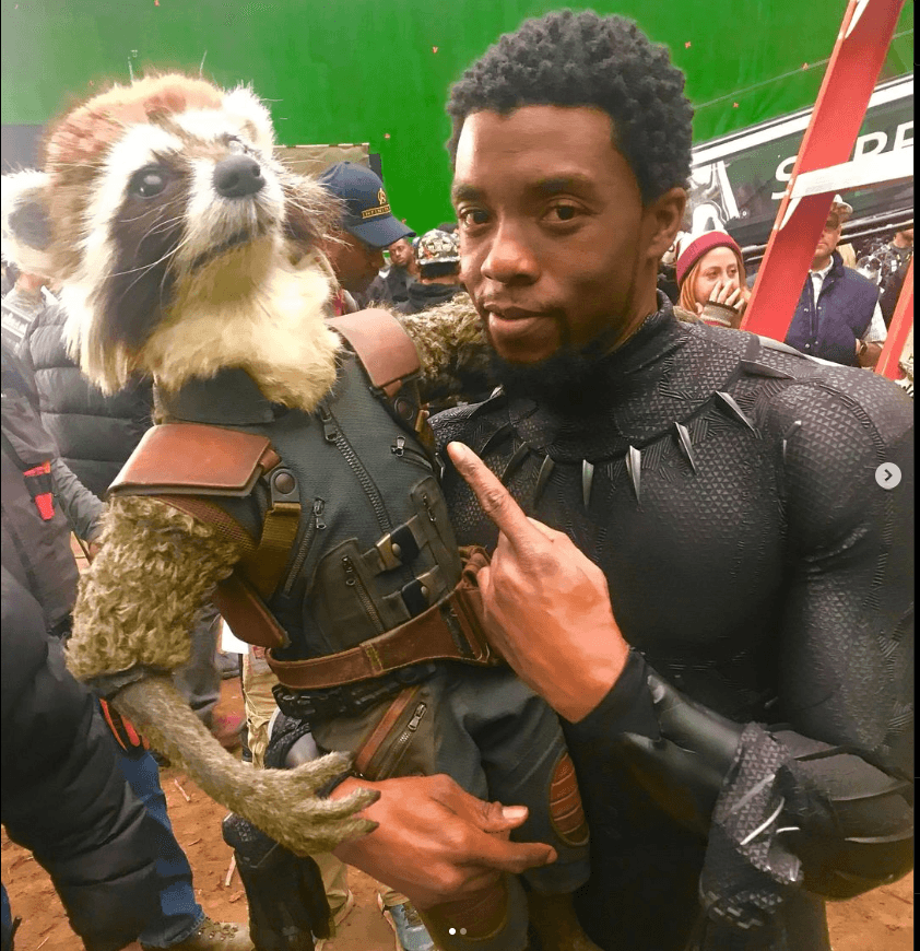 Marvel: así homenajeaba James Gunn a Chadwick Boseman